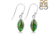 Ammolite Earring-E AML-3-10