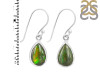 Ammolite Earring-E AML-3-11