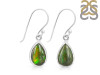 Ammolite Earring-E AML-3-11