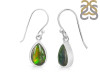 Ammolite Earring-E AML-3-11
