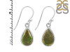 Ammolite Earring-E AML-3-12