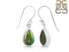 Ammolite Earring-E AML-3-15