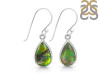 Ammolite Earring-E AML-3-17