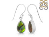 Ammolite Earring-E AML-3-17