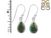 Ammolite Earring-E AML-3-19