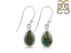 Ammolite Earring-E AML-3-19