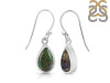 Ammolite Earring-E AML-3-19