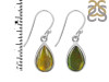 Ammolite Earring-E AML-3-26