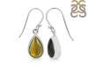 Ammolite Earring-E AML-3-26