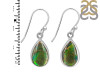 Ammolite Earring-E AML-3-29
