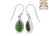 Ammolite Earring-E AML-3-29