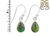Ammolite Earring-E AML-3-31