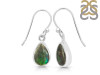 Ammolite Earring-E AML-3-31