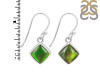 Ammolite Earring-E AML-3-36