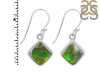 Ammolite Earring-E AML-3-40