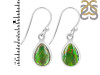 Ammolite Earring-E AML-3-44
