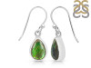Ammolite Earring-E AML-3-44