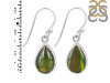 Ammolite Earring-E AML-3-45
