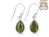 Ammolite Earring-E AML-3-45
