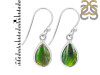 Ammolite Earring-E AML-3-5