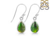 Ammolite Earring-E AML-3-5