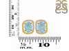Aquamarine Raw Crystal & White Topaz Stud Earring AQM-RDE-1255.