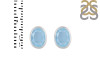 Aquamarine Stud Earring AQM-RDE-1374.
