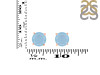 Aquamarine Stud Earring AQM-RDE-1436.