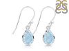 Aquamarine Earring AQM-RDE-1639.