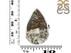 Astrophyllite Adjustable Ring-ADJ-R AST-2-110