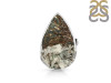 Astrophyllite Adjustable Ring-ADJ-R AST-2-110