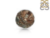 Astrophyllite Adjustable Ring-ADJ-R AST-2-130