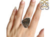 Astrophyllite Adjustable Ring-ADJ-R AST-2-142