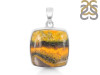 Bumble Bee Jasper-SP BBJ-1-10