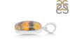 Bumble Bee Jasper-SP BBJ-1-10