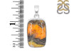 Bumble Bee Jasper-SP BBJ-1-11