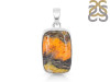 Bumble Bee Jasper-SP BBJ-1-11