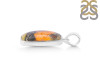 Bumble Bee Jasper-SP BBJ-1-11