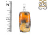 Bumble Bee Jasper-SP BBJ-1-18