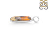 Bumble Bee Jasper-SP BBJ-1-18