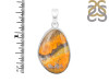 Bumble Bee Jasper-SP BBJ-1-19