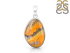 Bumble Bee Jasper-SP BBJ-1-19