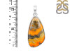 Bumble Bee Jasper Pendant-SP BBJ-1-41