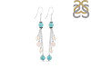 Stabilized  Turquoise Beaded Earring BDD-3-123