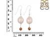 Pearl / Tiger Eye Beaded Earring BDD-3-184
