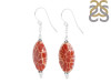 Mexican Agate Beaded Earring BDD-3-31