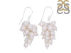 Pearl Beaded Earring BDD-3-98