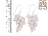 Pearl Beaded Earring BDD-3-98