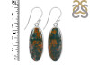 Blood Stone Earring-E BDS-3-15