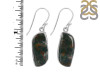 Blood Stone Earring-E BDS-3-25
